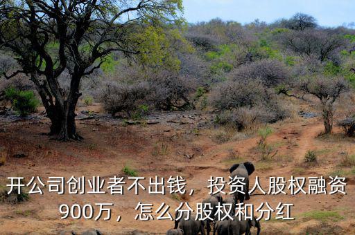 開公司創(chuàng)業(yè)者不出錢，投資人股權(quán)融資900萬，怎么分股權(quán)和分紅