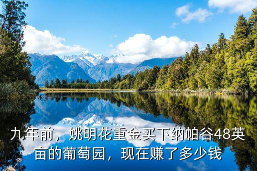 九年前，姚明花重金買(mǎi)下納帕谷48英畝的葡萄園，現(xiàn)在賺了多少錢(qián)