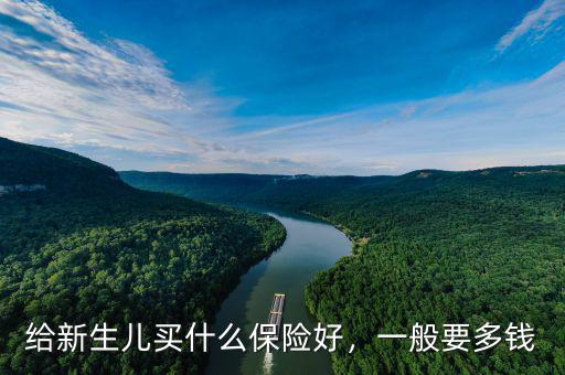 給新生兒買什么保險好，一般要多錢