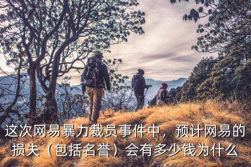 這次網(wǎng)易暴力裁員事件中，預(yù)計網(wǎng)易的損失（包括名譽）會有多少錢為什么