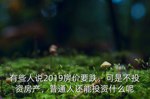 有些人說2019房價要跌，可是不投資房產(chǎn)，普通人還能投資什么呢
