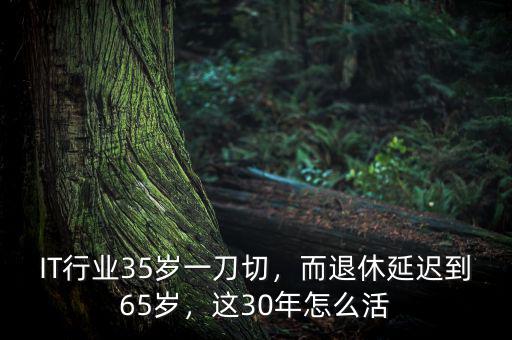 IT行業(yè)35歲一刀切，而退休延遲到65歲，這30年怎么活