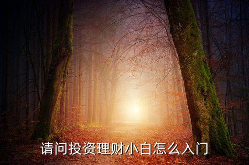 請問投資理財(cái)小白怎么入門