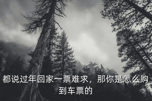 都說過年回家一票難求，那你是怎么購到車票的
