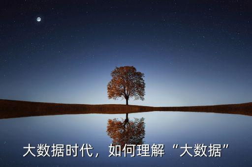 大數(shù)據(jù)時(shí)代，如何理解“大數(shù)據(jù)”