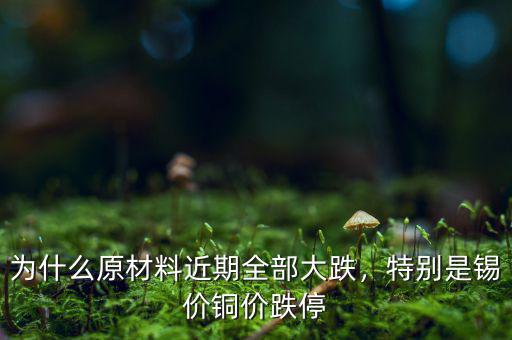 為什么原材料近期全部大跌，特別是錫價銅價跌停