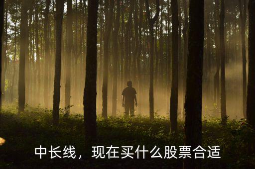 中長線，現(xiàn)在買什么股票合適