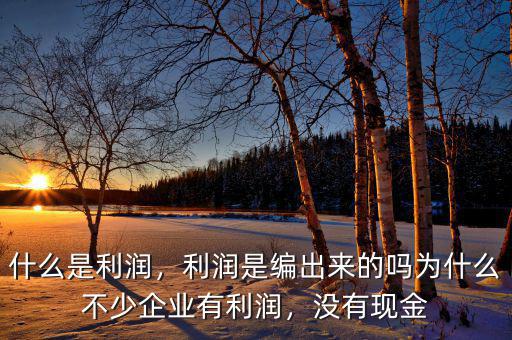 什么是利潤(rùn)，利潤(rùn)是編出來的嗎為什么不少企業(yè)有利潤(rùn)，沒有現(xiàn)金