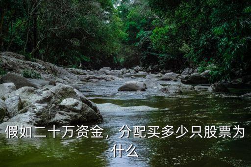 假如二十萬資金，分配買多少只股票為什么