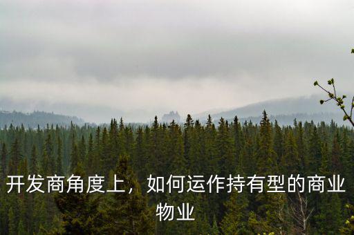 開發(fā)商角度上，如何運(yùn)作持有型的商業(yè)物業(yè)