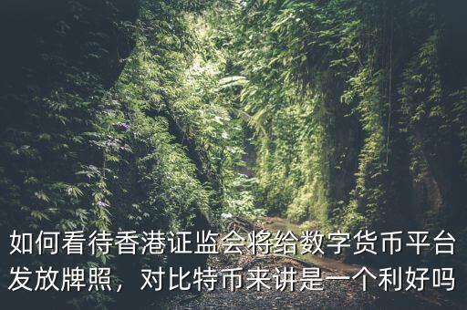 如何看待香港證監(jiān)會(huì)將給數(shù)字貨幣平臺(tái)發(fā)放牌照，對(duì)比特幣來(lái)講是一個(gè)利好嗎