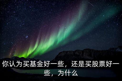 你認(rèn)為買基金好一些，還是買股票好一些，為什么