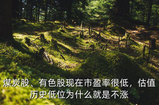 煤炭股、有色股現(xiàn)在市盈率很低，估值歷史低位為什么就是不漲