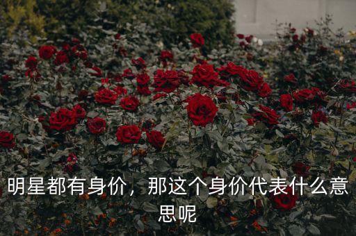 明星都有身價(jià)，那這個(gè)身價(jià)代表什么意思呢