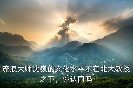 流浪大師沈巍的文化水平不在北大教授之下，你認(rèn)同嗎