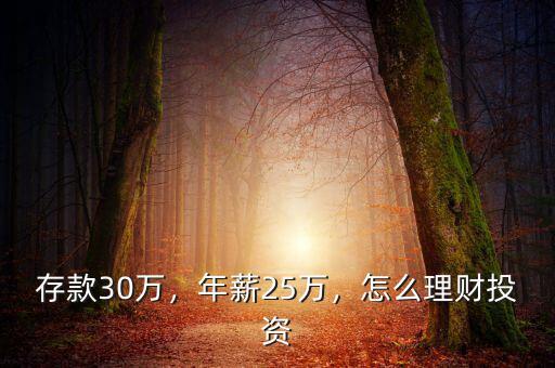 存款30萬(wàn)，年薪25萬(wàn)，怎么理財(cái)投資