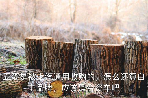 五菱是被上汽通用收購的，怎么還算自主品牌，應該是合資車吧