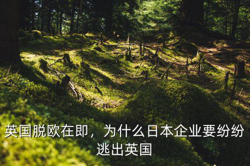 英國(guó)脫歐在即，為什么日本企業(yè)要紛紛逃出英國(guó)