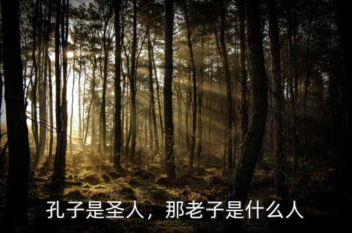 孔子是圣人，那老子是什么人