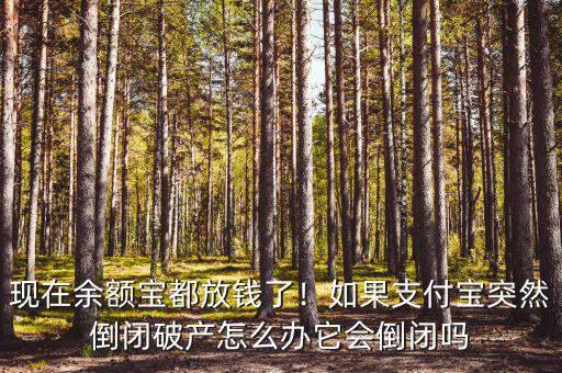 現(xiàn)在余額寶都放錢(qián)了！如果支付寶突然倒閉破產(chǎn)怎么辦它會(huì)倒閉嗎
