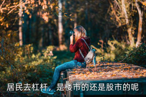 居民去杠桿，是樓市的還是股市的呢
