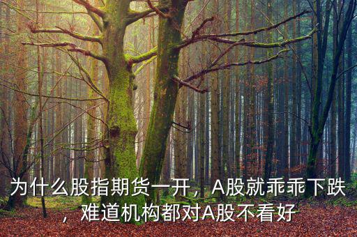 為什么股指期貨一開，A股就乖乖下跌，難道機(jī)構(gòu)都對A股不看好
