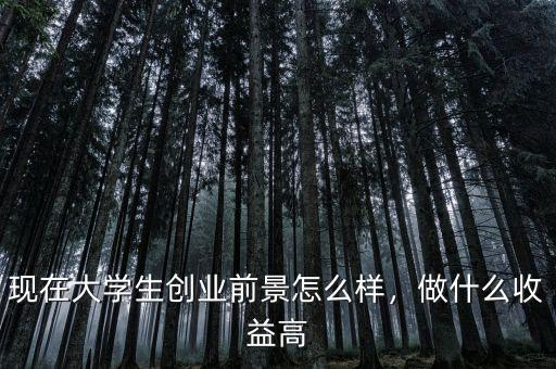 現(xiàn)在大學(xué)生創(chuàng)業(yè)前景怎么樣，做什么收益高