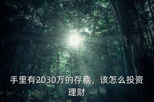 手里有2030萬(wàn)的存款，該怎么投資理財(cái)