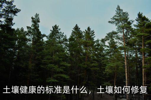 土壤健康的標(biāo)準(zhǔn)是什么，土壤如何修復(fù)