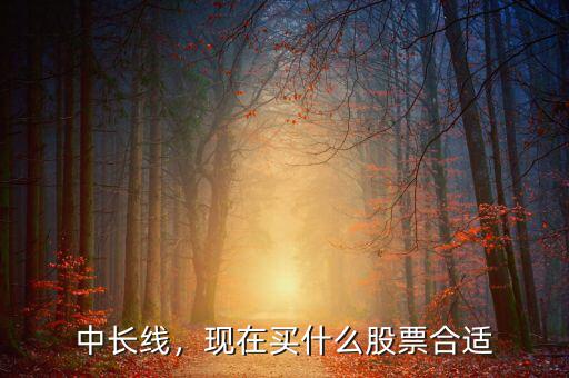 中長線，現(xiàn)在買什么股票合適