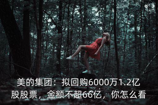 美的集團：擬回購6000萬1.2億股股票，金額不超66億，你怎么看