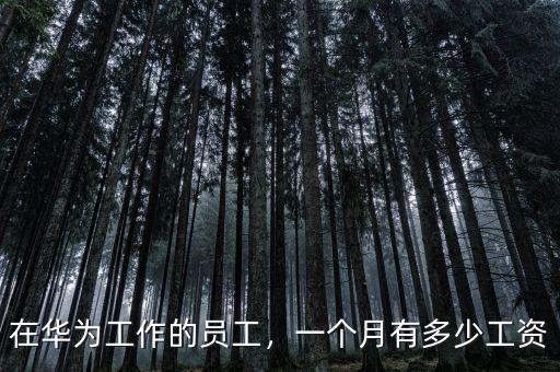 在華為工作的員工，一個月有多少工資