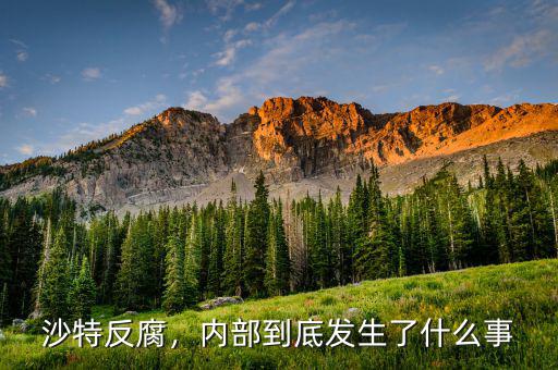 沙特反腐，內(nèi)部到底發(fā)生了什么事