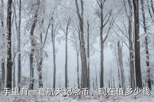 手里有一套航天紀(jì)念幣，現(xiàn)在值多少錢(qián)