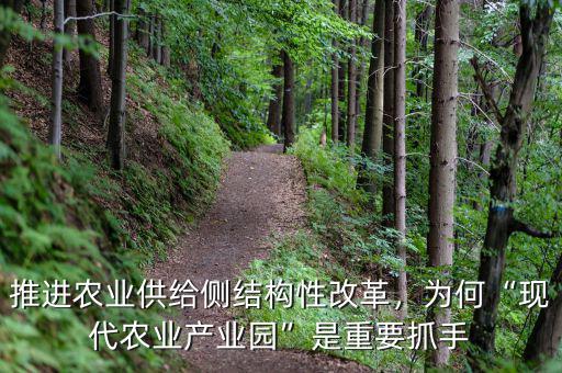 推進(jìn)農(nóng)業(yè)供給側(cè)結(jié)構(gòu)性改革，為何“現(xiàn)代農(nóng)業(yè)產(chǎn)業(yè)園”是重要抓手