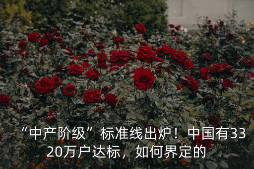 “中產(chǎn)階級(jí)”標(biāo)準(zhǔn)線出爐！中國(guó)有3320萬(wàn)戶達(dá)標(biāo)，如何界定的