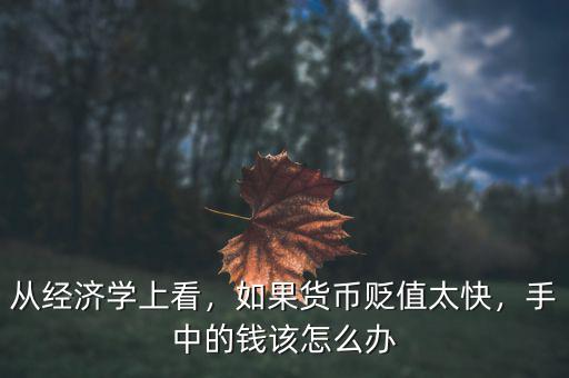 從經(jīng)濟學(xué)上看，如果貨幣貶值太快，手中的錢該怎么辦