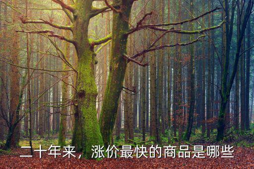 二十年來(lái)，漲價(jià)最快的商品是哪些