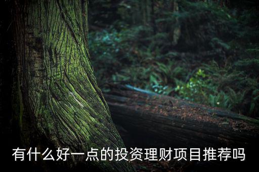 有什么好一點(diǎn)的投資理財項目推薦嗎