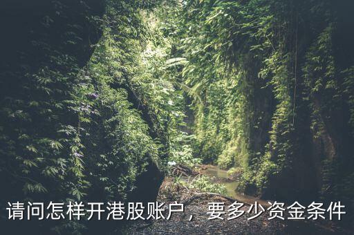 請(qǐng)問怎樣開港股賬戶，要多少資金條件