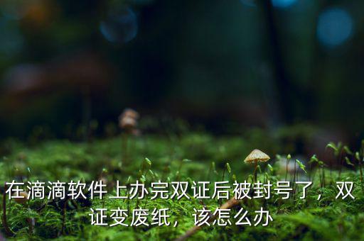 在滴滴軟件上辦完雙證后被封號(hào)了，雙證變廢紙，該怎么辦