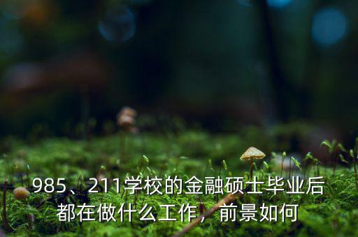 985、211學(xué)校的金融碩士畢業(yè)后都在做什么工作，前景如何