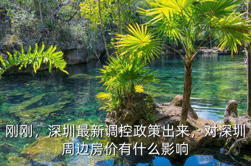 剛剛，深圳最新調(diào)控政策出來，對(duì)深圳周邊房價(jià)有什么影響