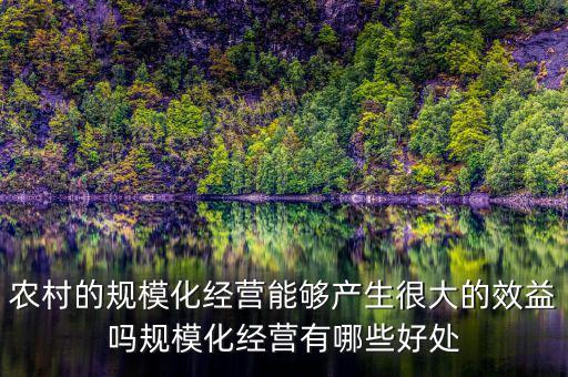 農(nóng)村的規(guī)?；?jīng)營能夠產(chǎn)生很大的效益嗎規(guī)模化經(jīng)營有哪些好處