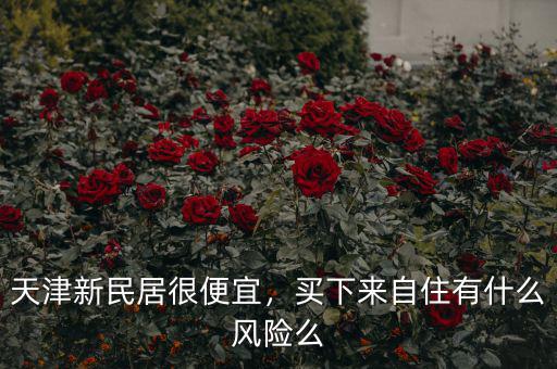 天津新民居很便宜，買下來自住有什么風(fēng)險(xiǎn)么