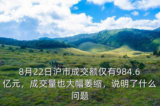 8月22日滬市成交額僅有984.6億元，成交量也大幅萎縮，說(shuō)明了什么問(wèn)題