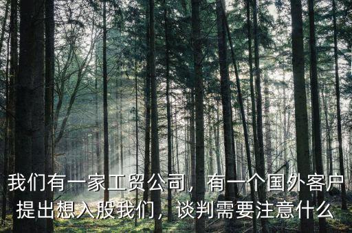 我們有一家工貿(mào)公司，有一個(gè)國外客戶提出想入股我們，談判需要注意什么
