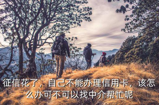 征信花了，自己不能辦理信用卡，該怎么辦可不可以找中介幫忙呢