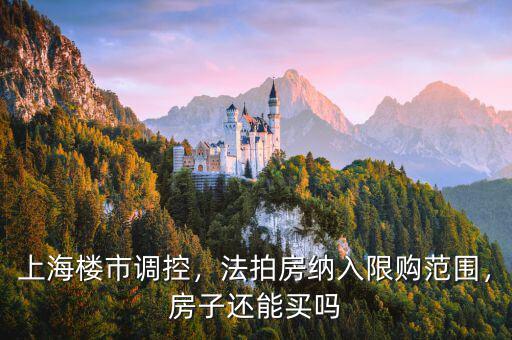 上海樓市調(diào)控，法拍房納入限購范圍，房子還能買嗎