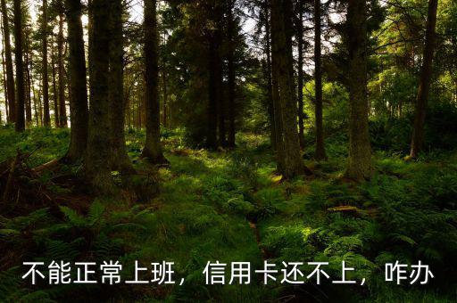 不能正常上班，信用卡還不上，咋辦
